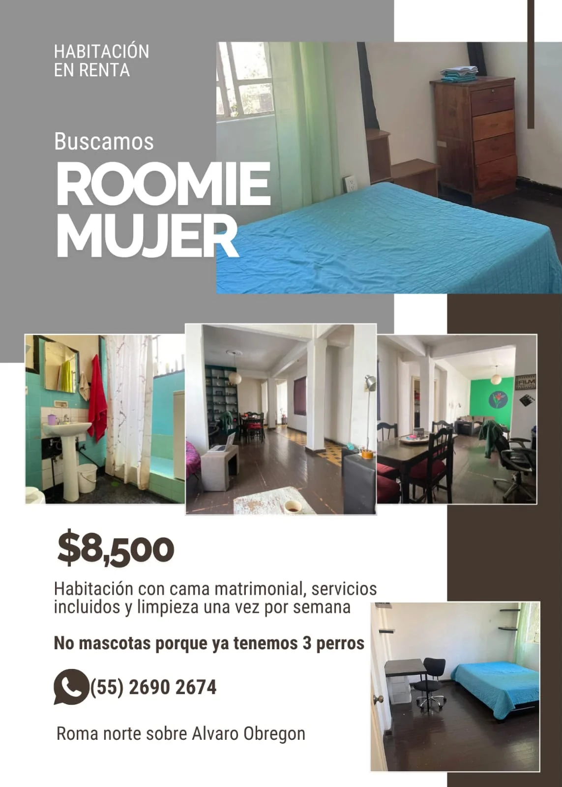 Private Room for Rent in Roma Norte, Mexico City