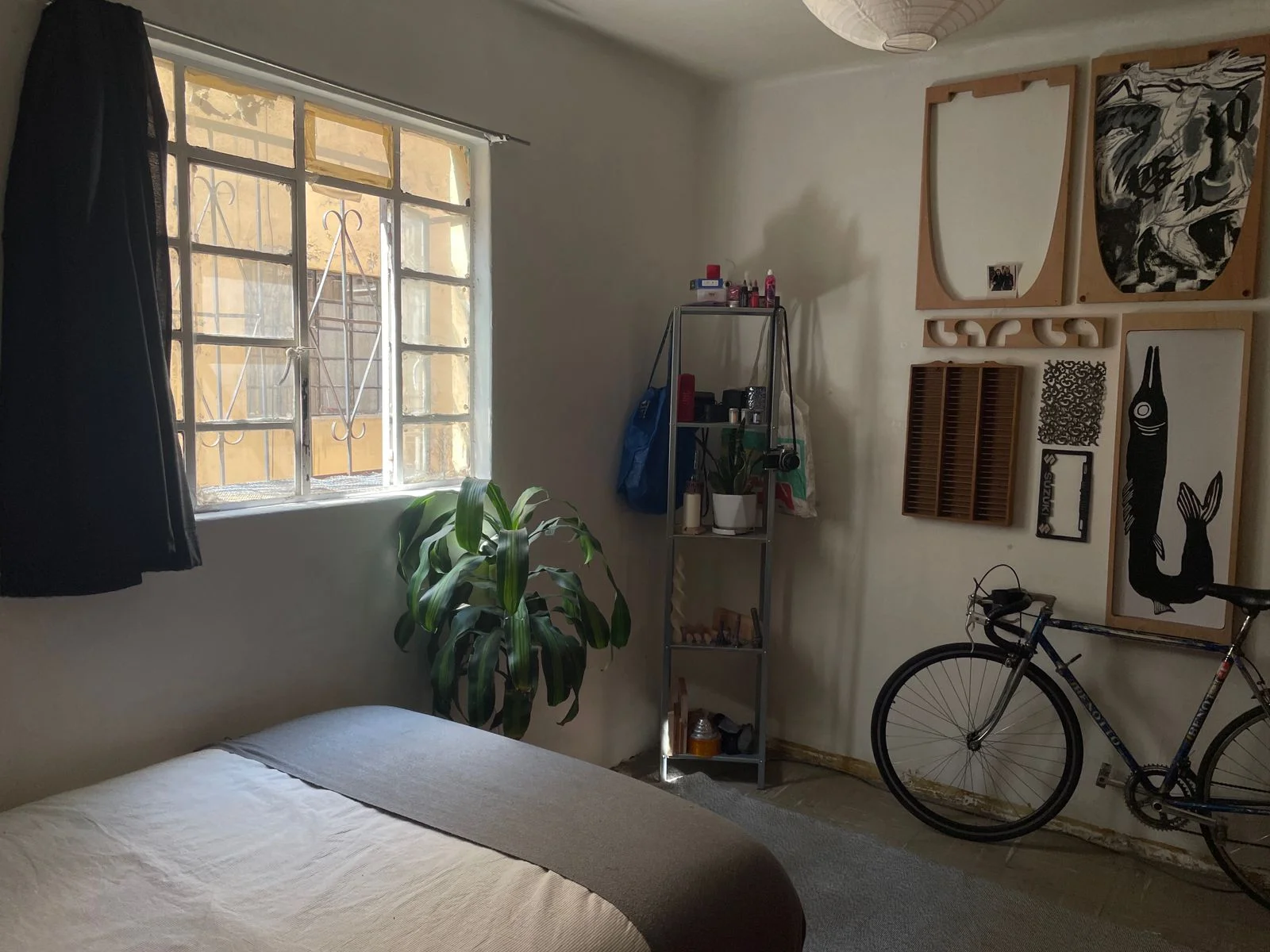 Private Room in Colonia Centro