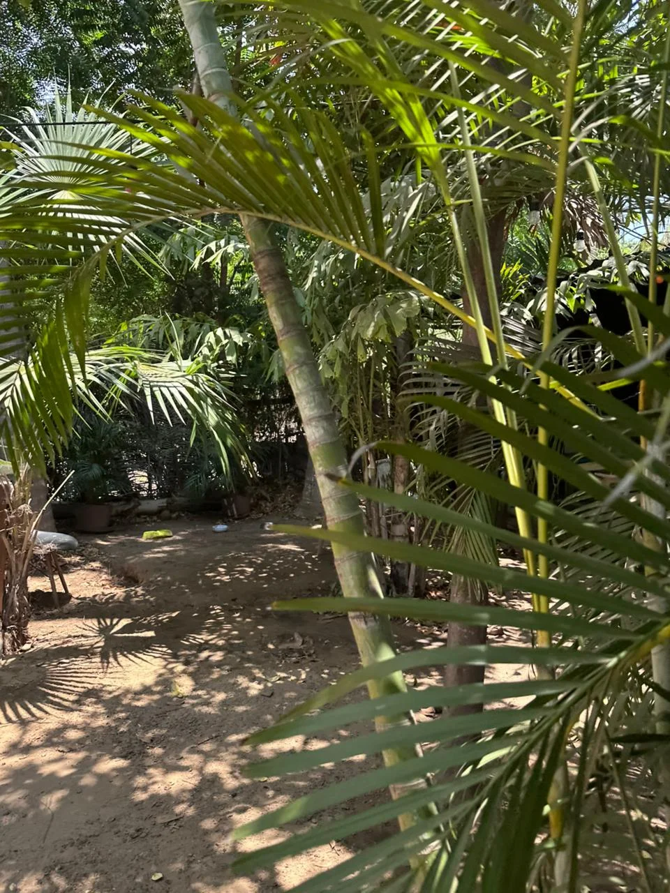 Private Room in La Punta, Puerto Escondido