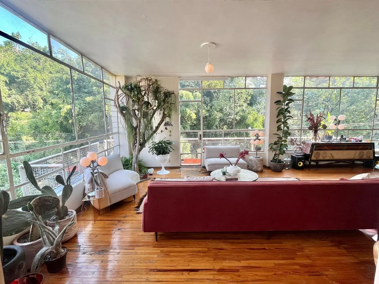 Apartment in Condesa