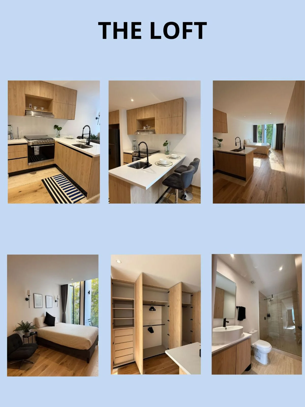 Loft in Santa Maria la Ribera, Mexico City
