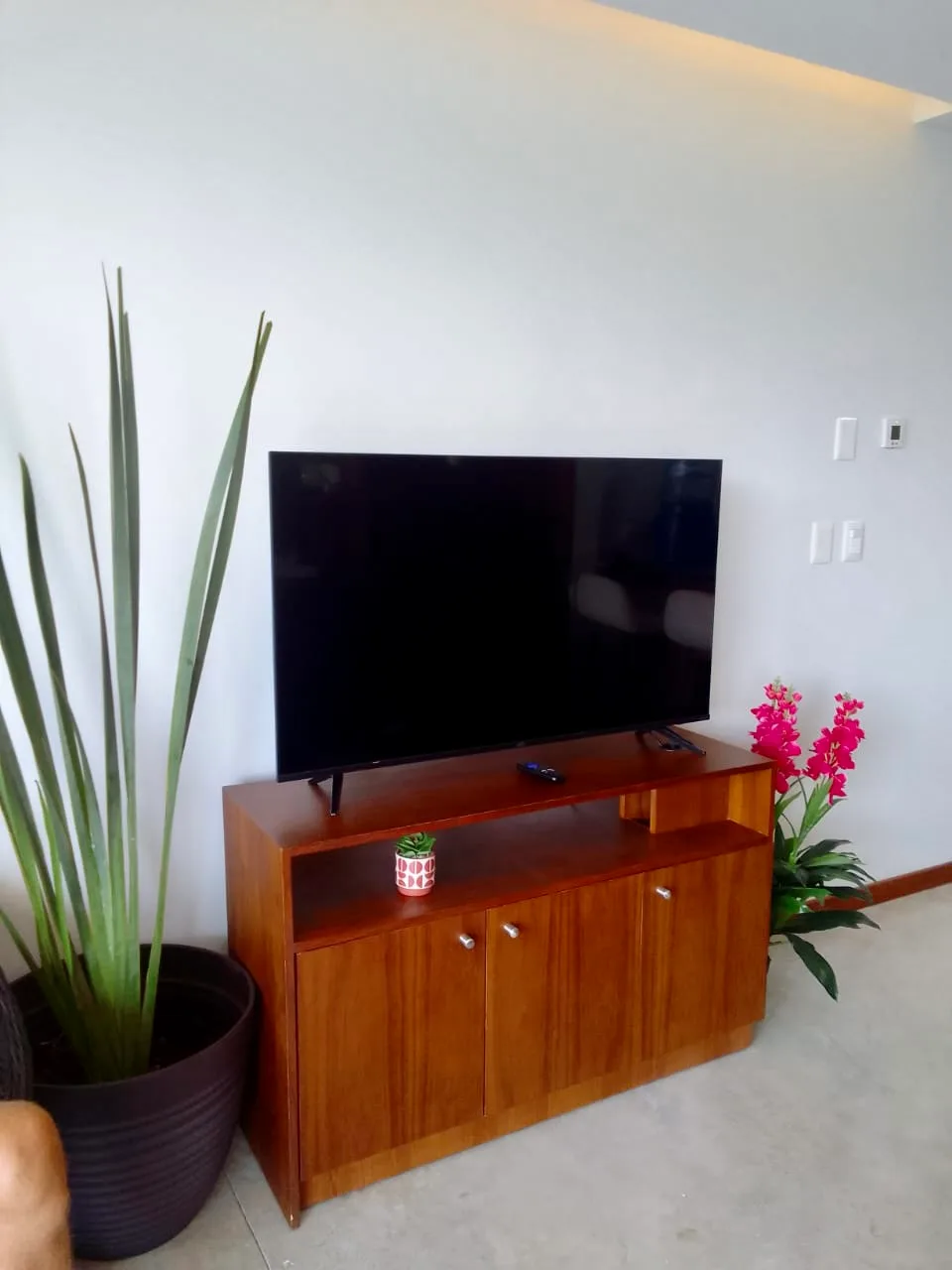Studio Apartment for Rent in Playacar