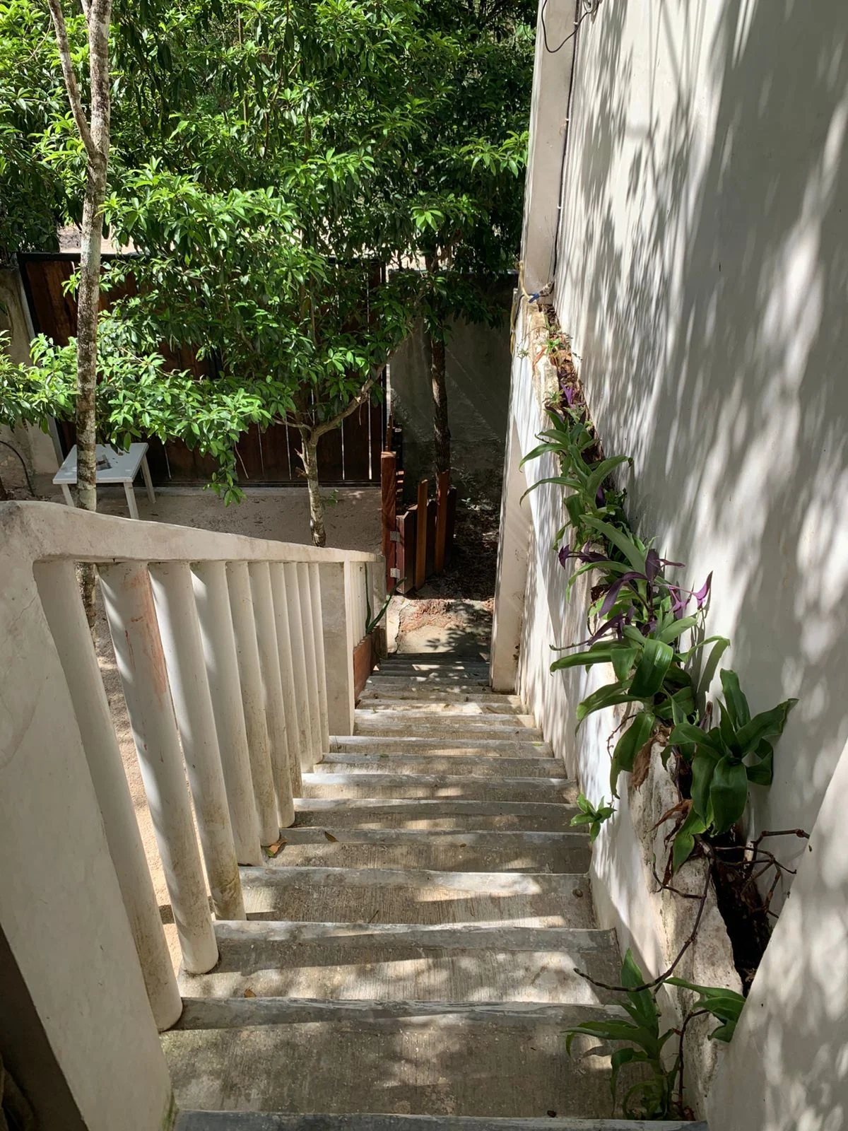 House in Tulum Jungle with Cenote-Style Pool