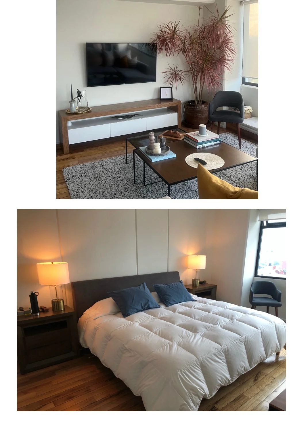 Penthouse in Condesa