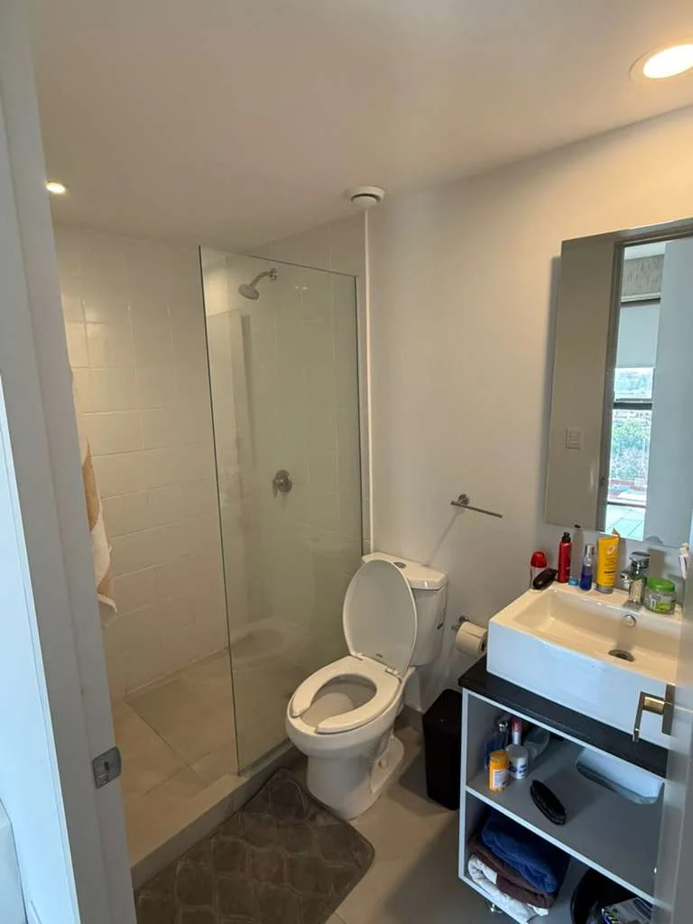 1 Bedroom Apartment in Juarez, Mexico City