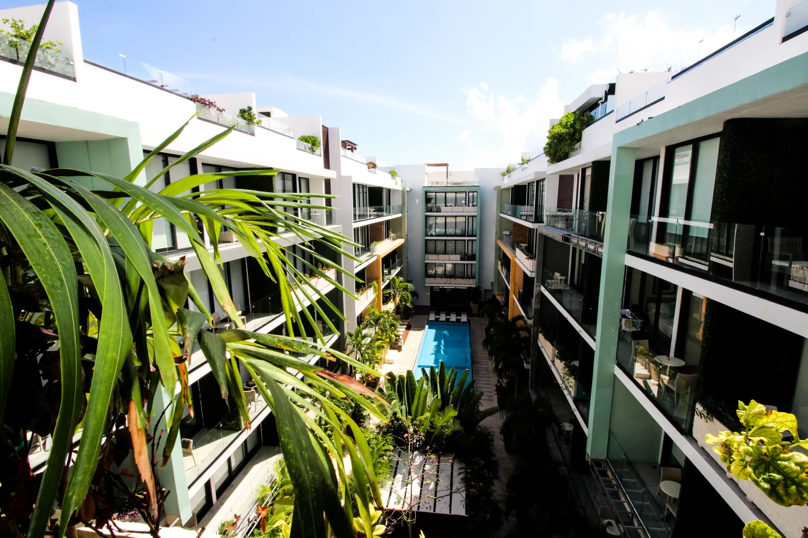 Apartment in Centro for $28,000 MXN/month