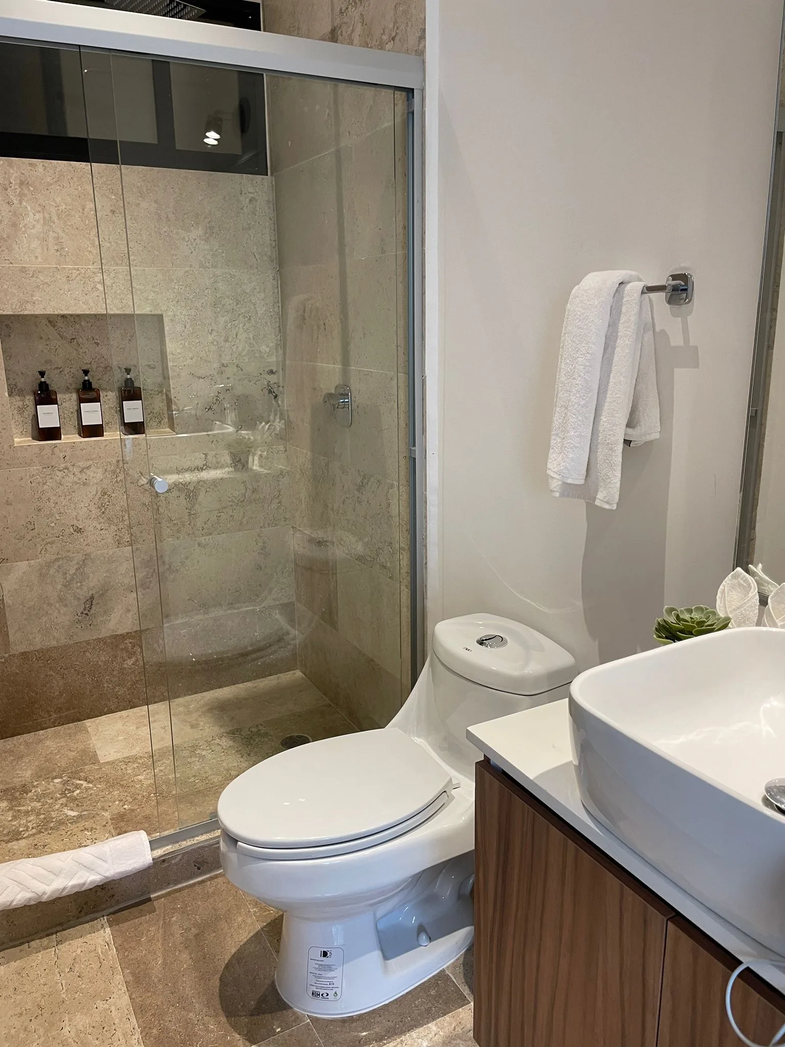 Apartment in Zama