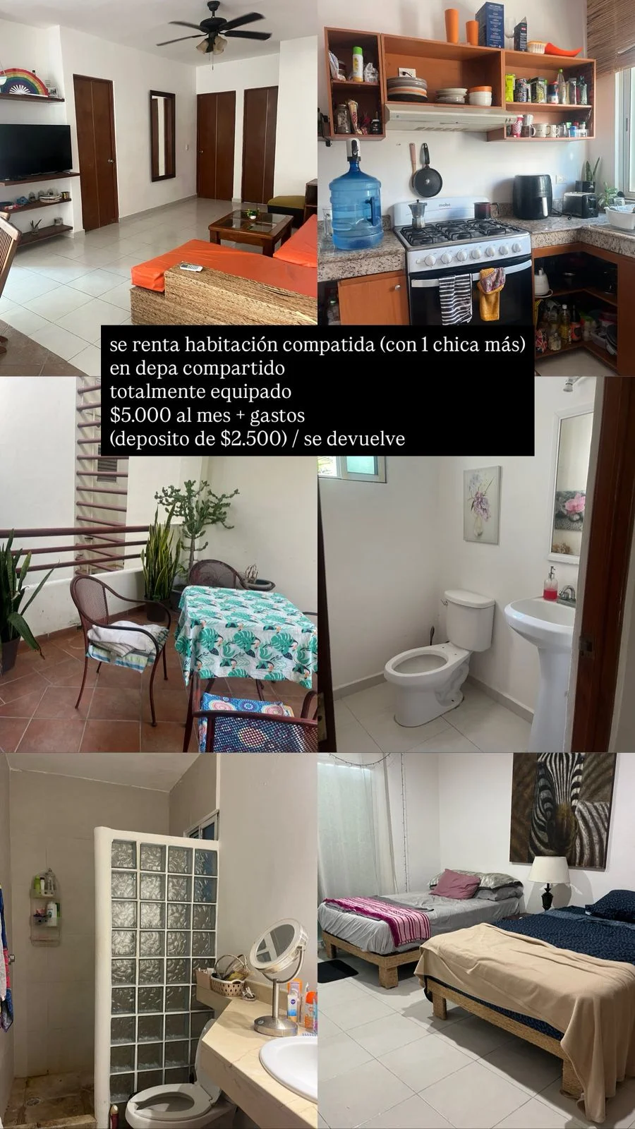 Shared room in Centro