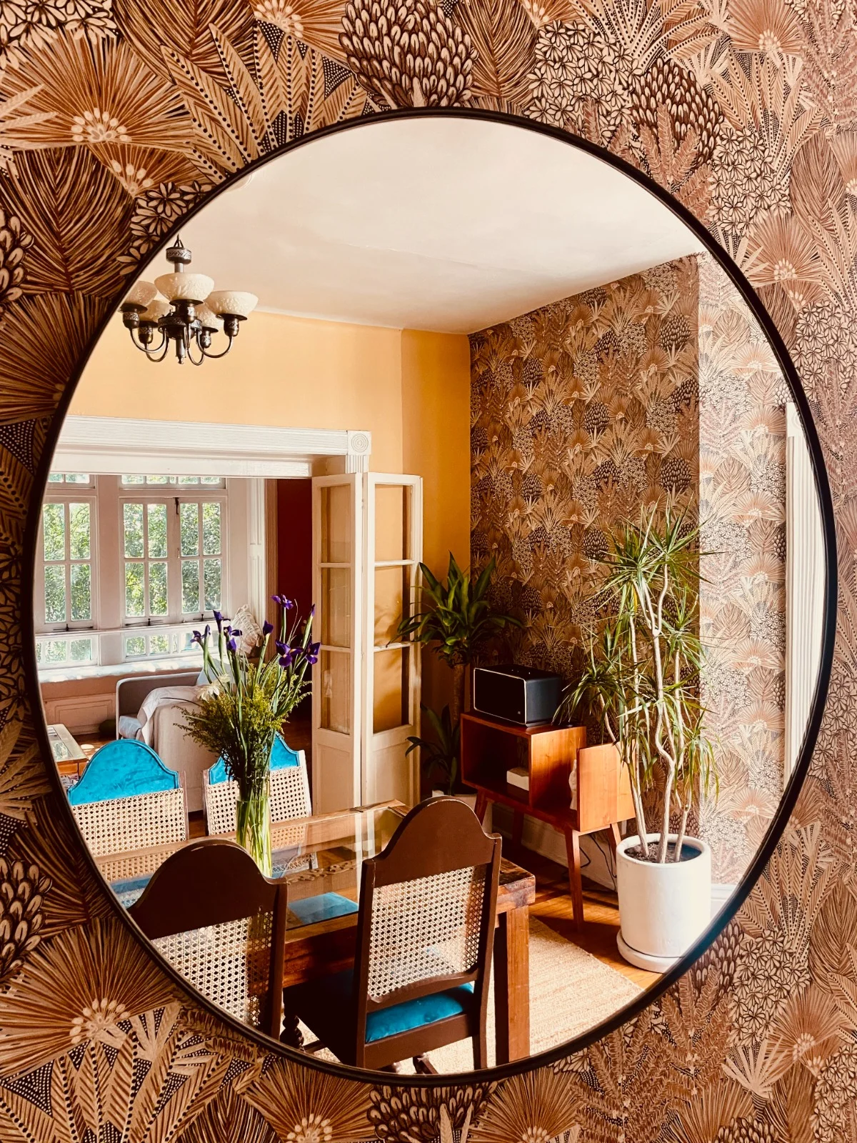 Private Room in Mexico City Home