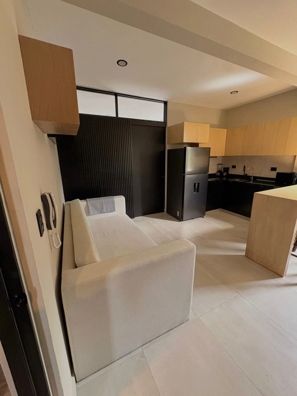 1-Bedroom Apartment for Rent in Centro Maya