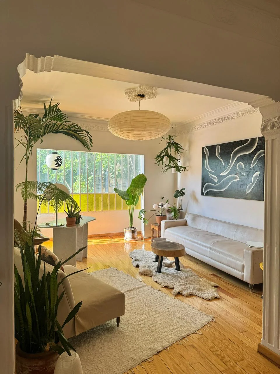 Private Room for Rent in Condesa