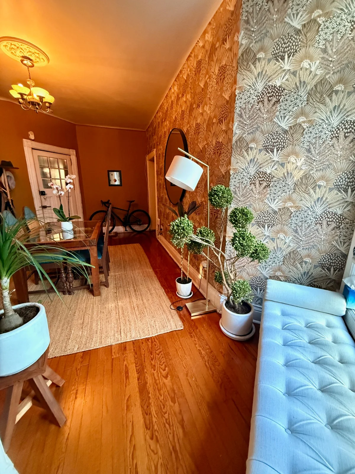2 Bedroom Apartment in Condesa, Mexico City