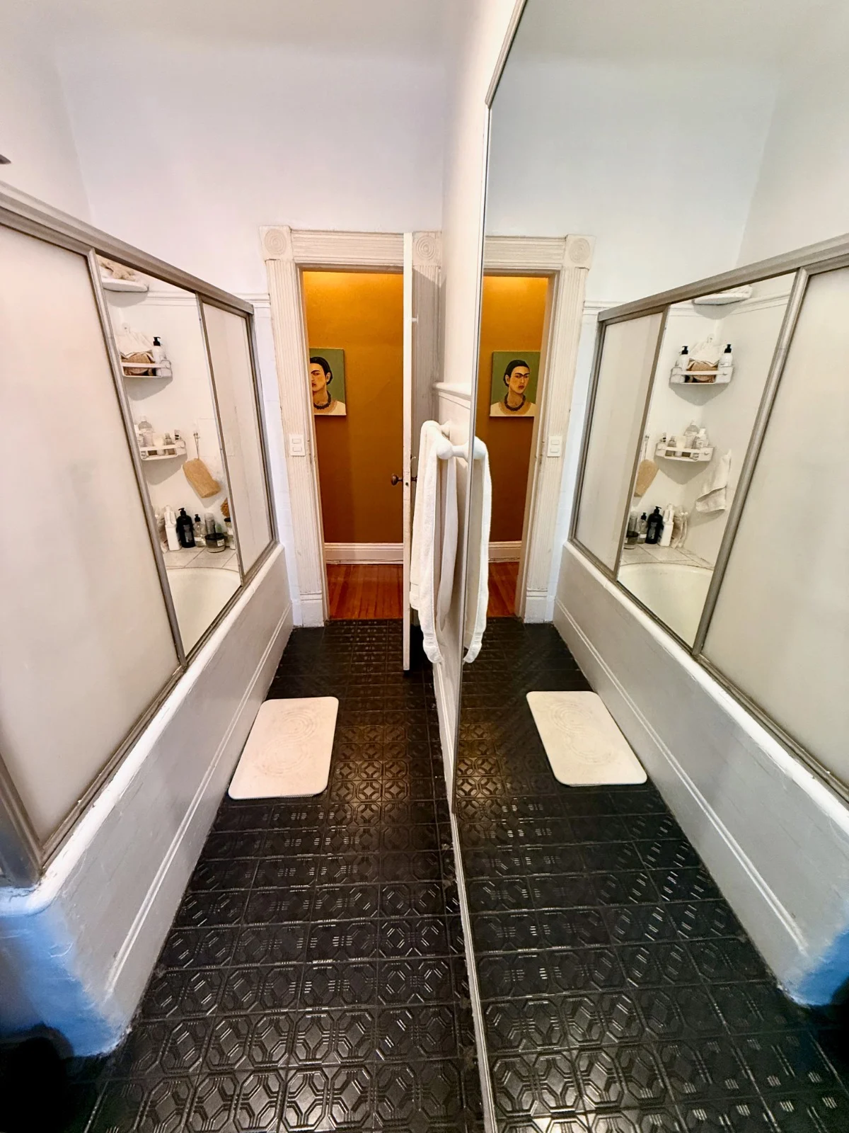 2 Bedroom Apartment in Condesa, Mexico City
