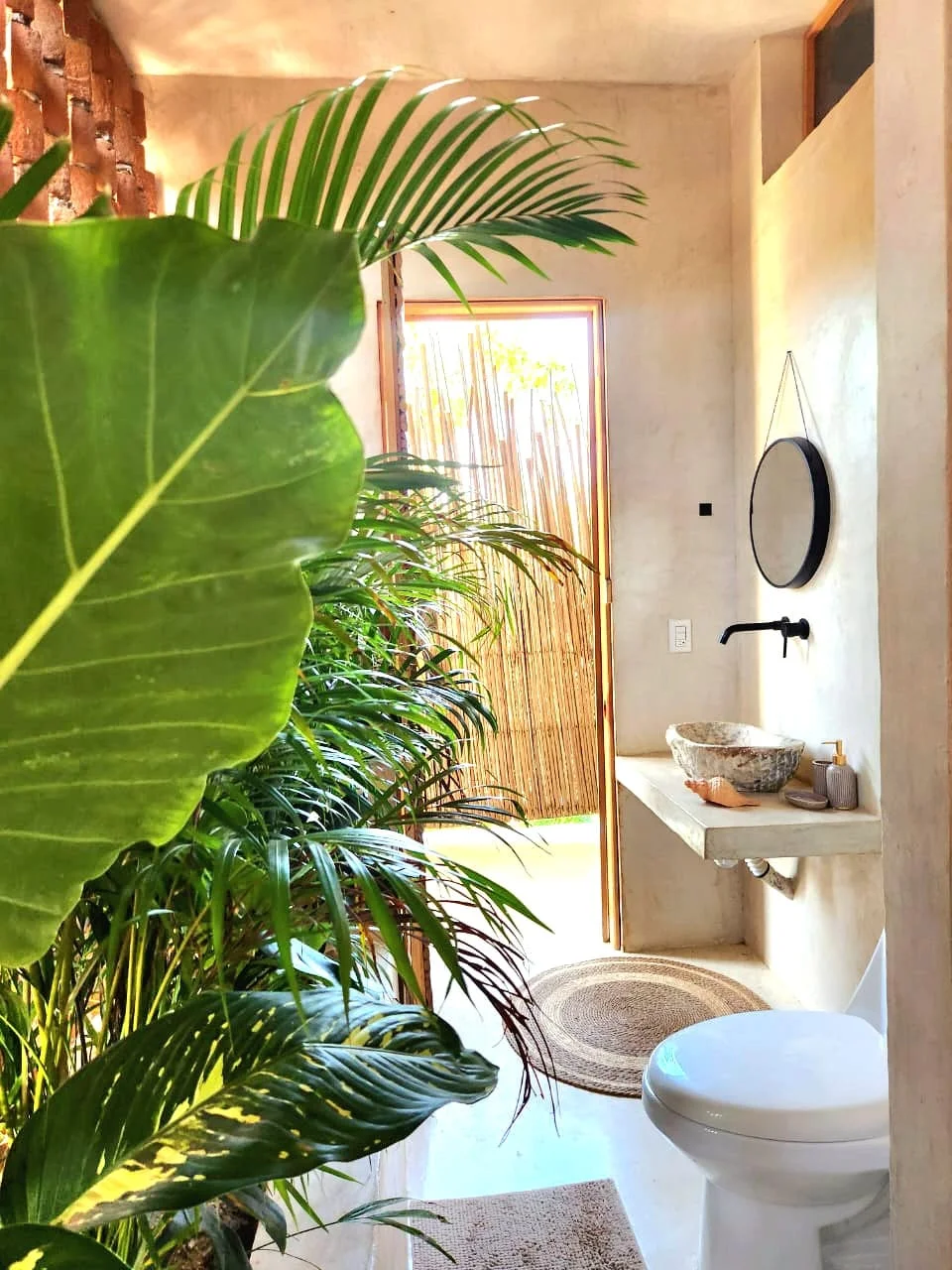 Room for Rent in Puerto Escondido