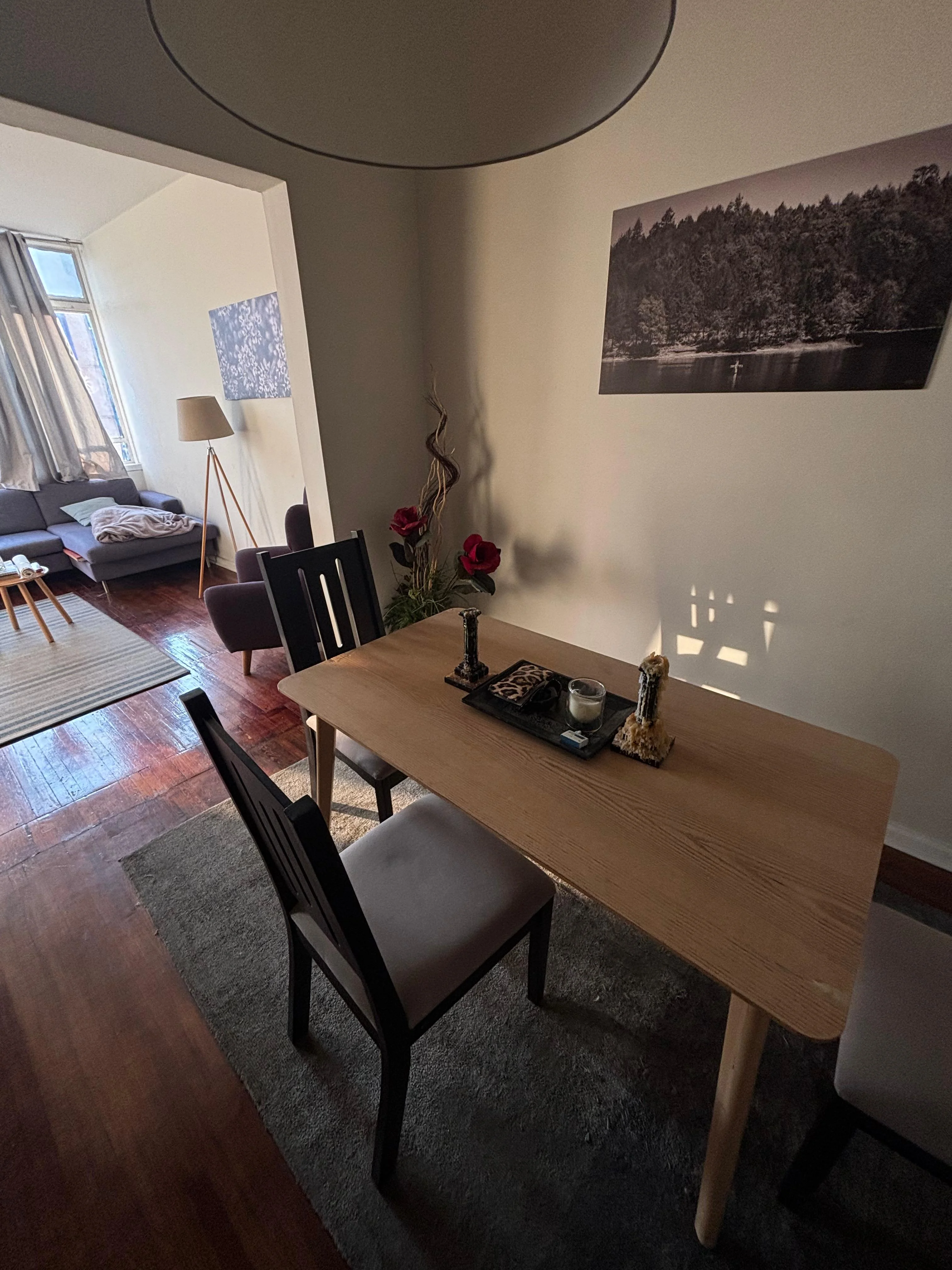 1BR Apartment in Condesa