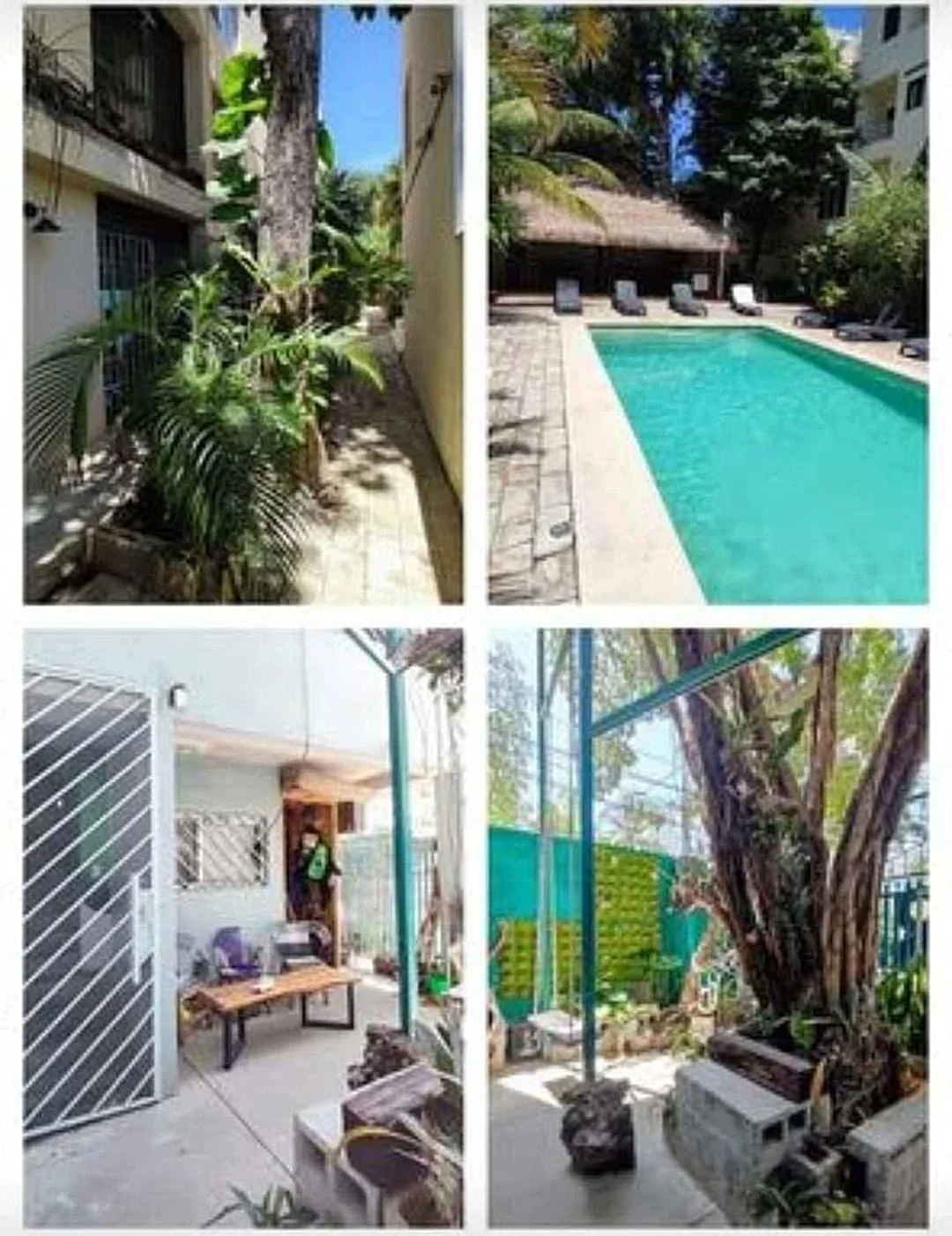 2 Bedroom Apartment in Colonia Hollywood