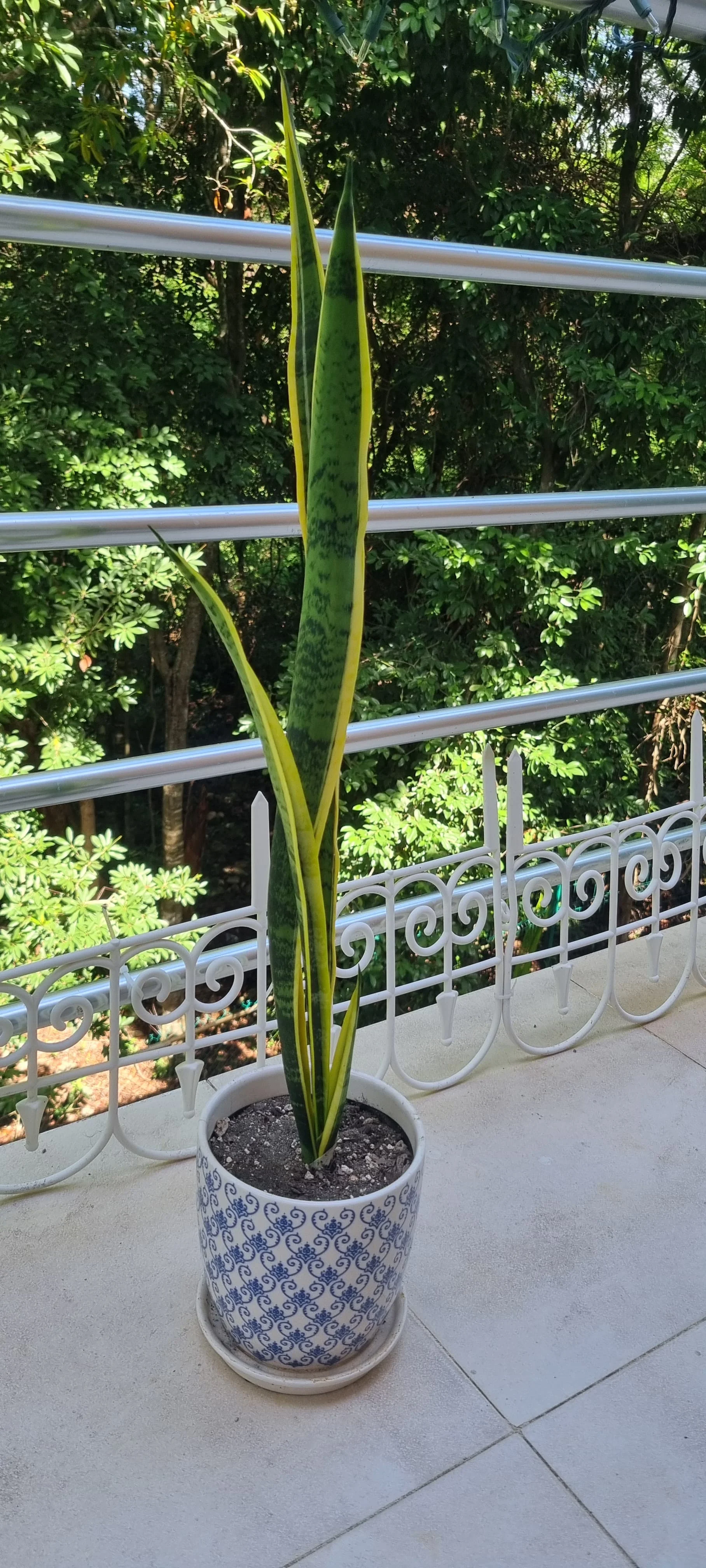 Property in Playa del Carmen