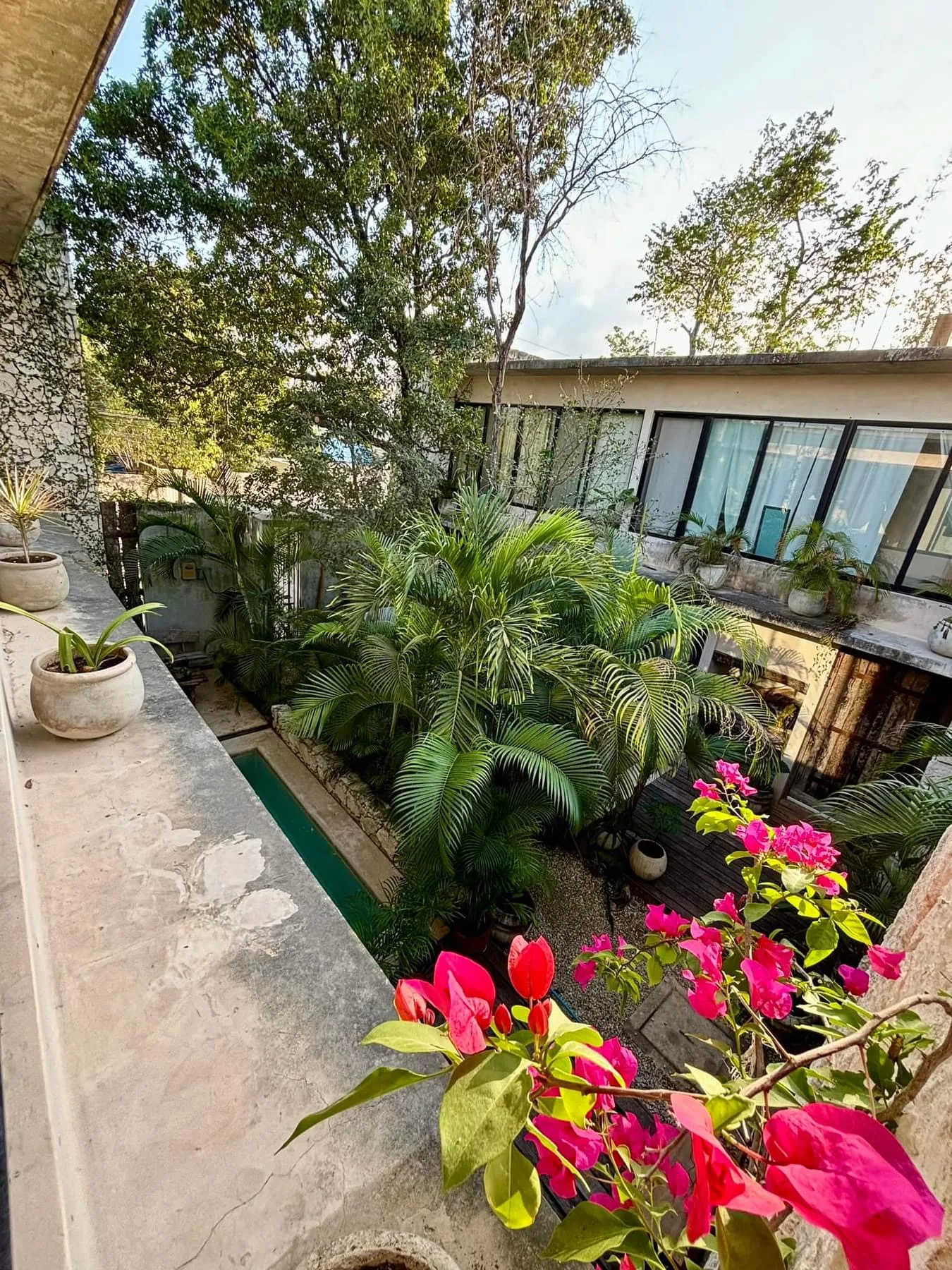 Apartment in Veleta