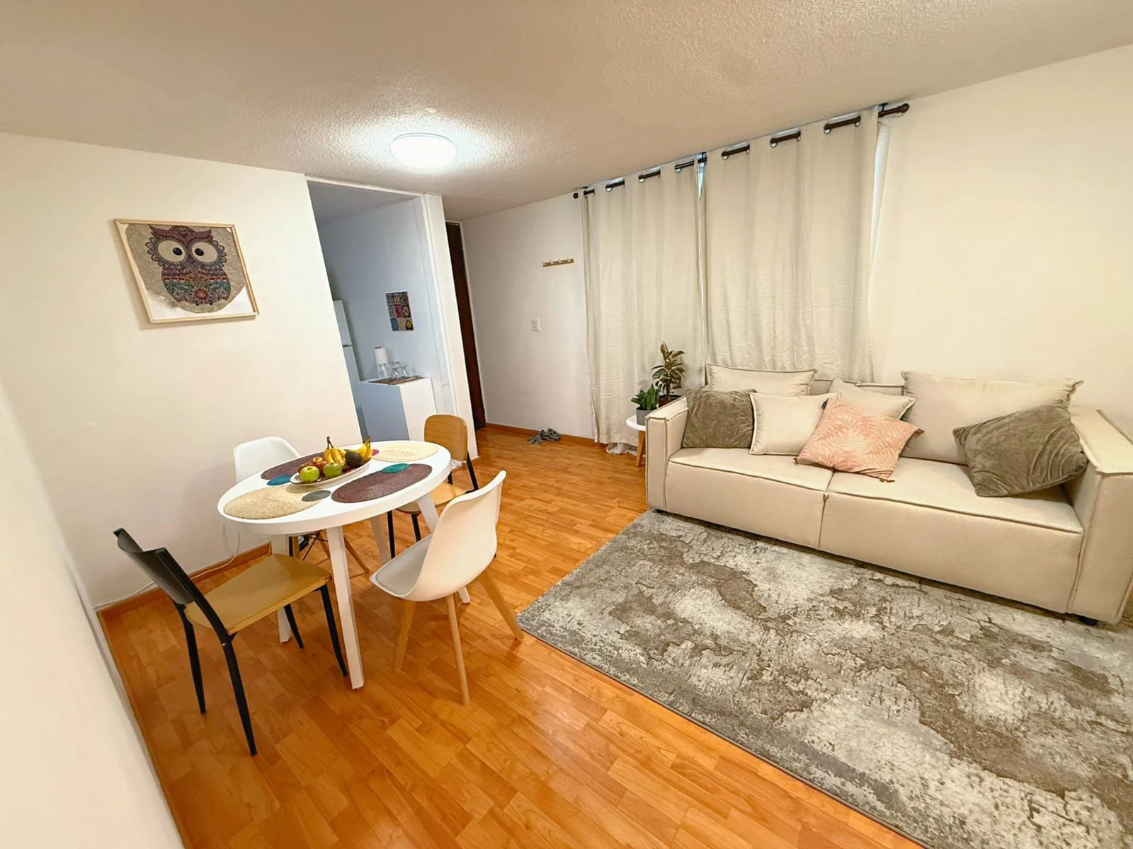 Furnished Apartment Rental in Roma Norte