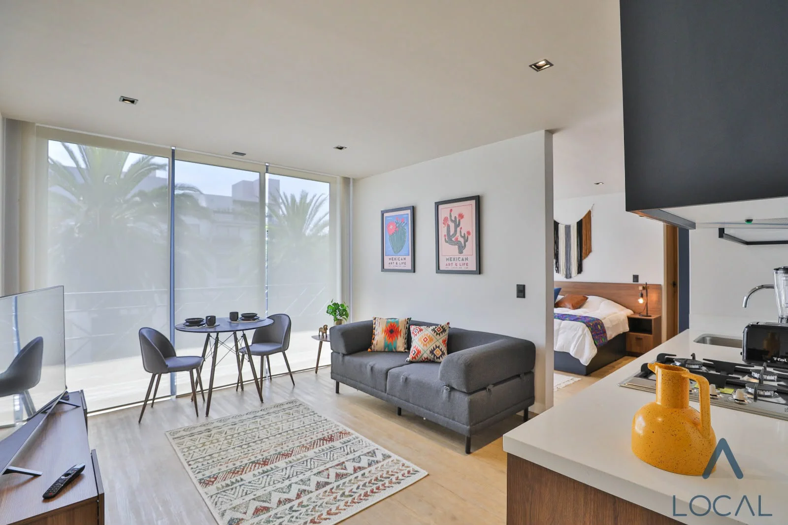 Furnished Apartment in Mexico City