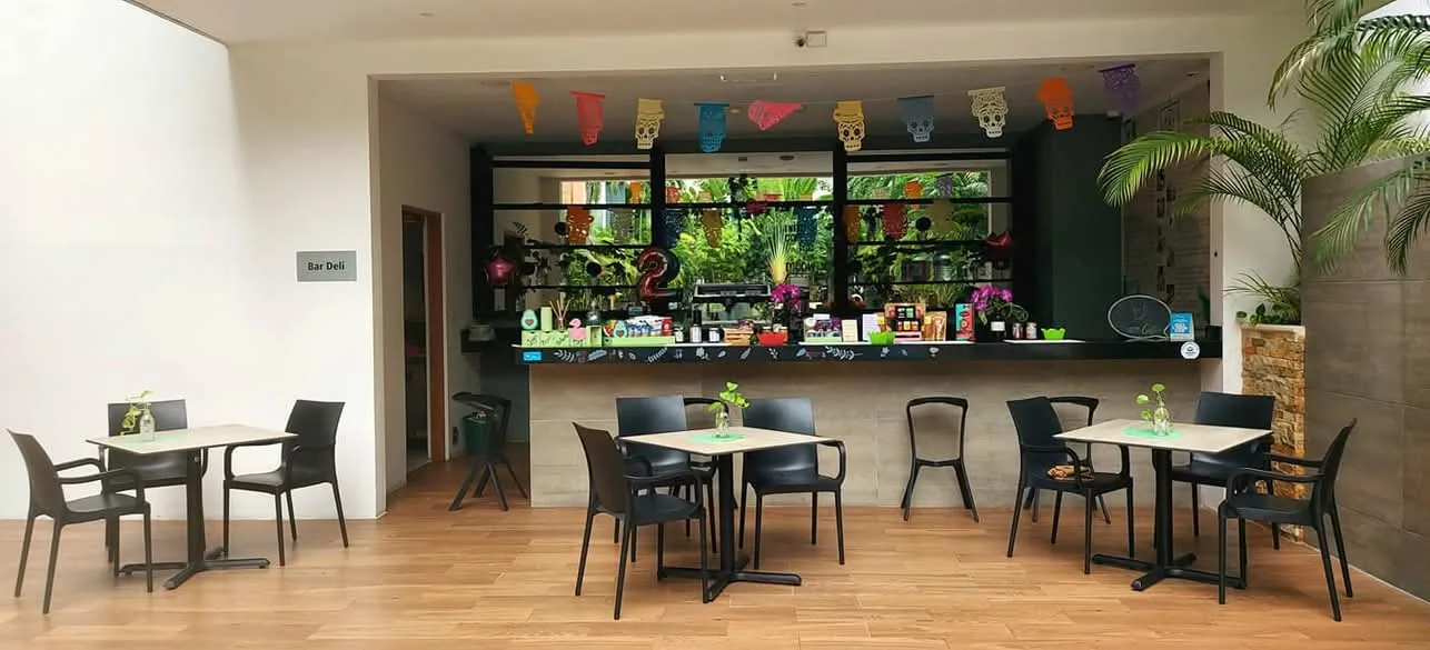 Apartment in Centro for $28,000 MXN/month