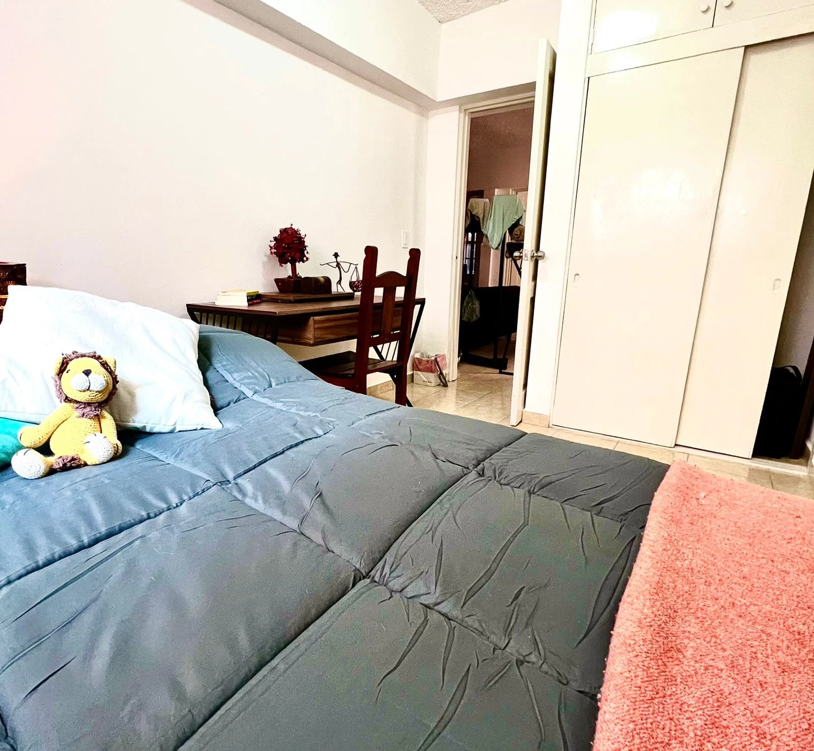 Apartment in Roma Norte, Mexico City
