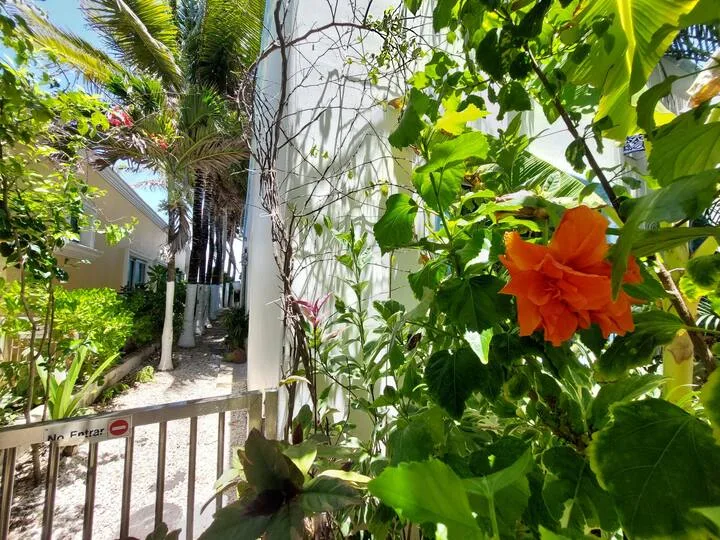 Studio Apartment in Playacar