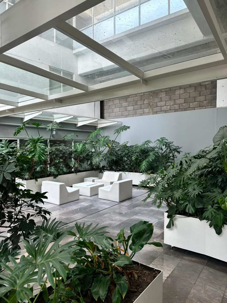 Private Room for Women in Condesa, Mexico City