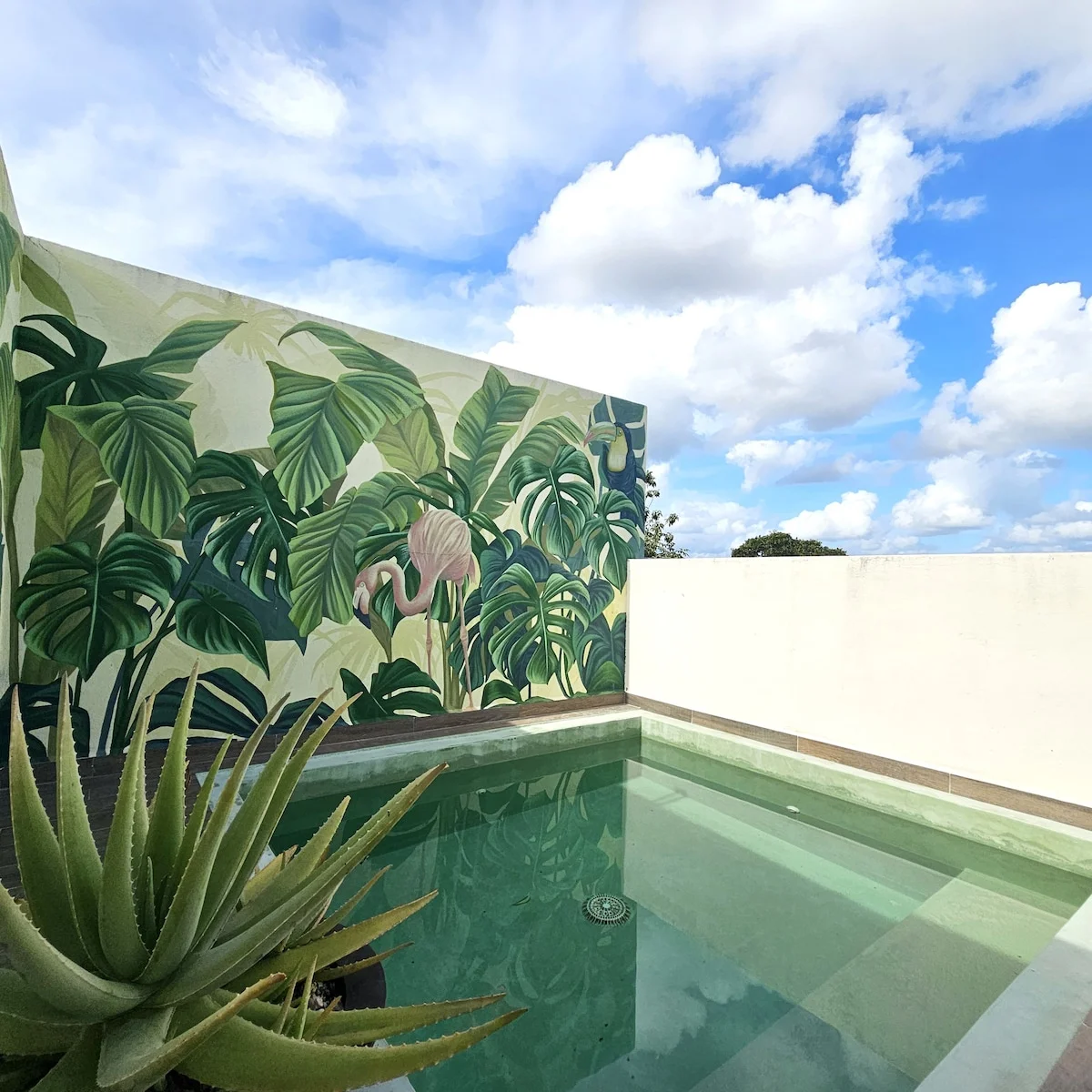 PH with rooftop & pool-walking distance to Calle 7