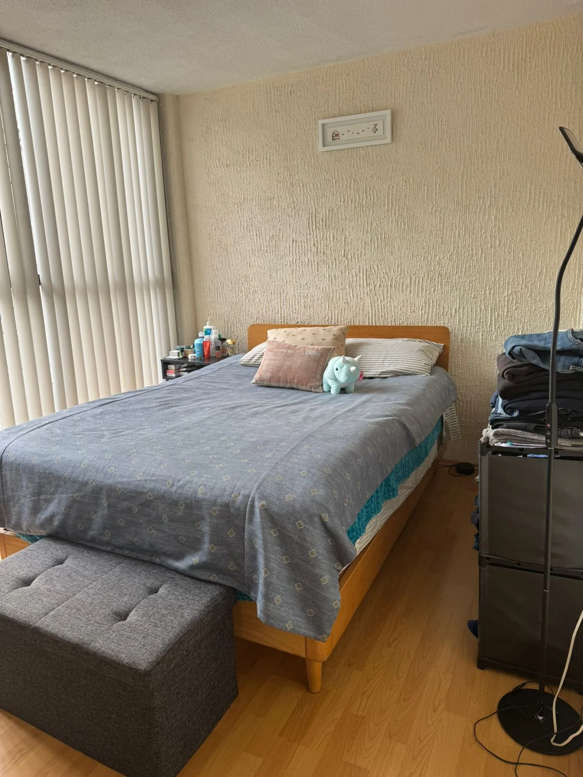 Apartment in San Miguel Chapultepec - $10,000 MXN/month