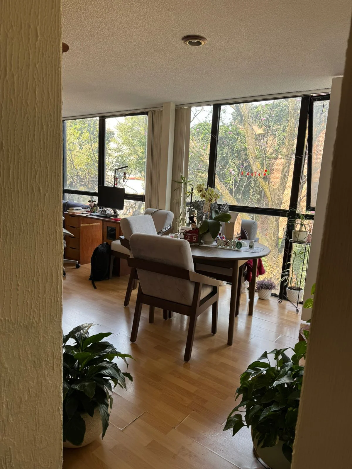 Apartment in San Miguel Chapultepec - $10,000 MXN/month