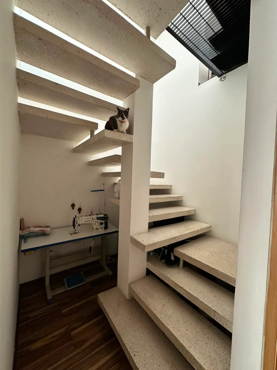 Private Room for Women in Condesa, Mexico City
