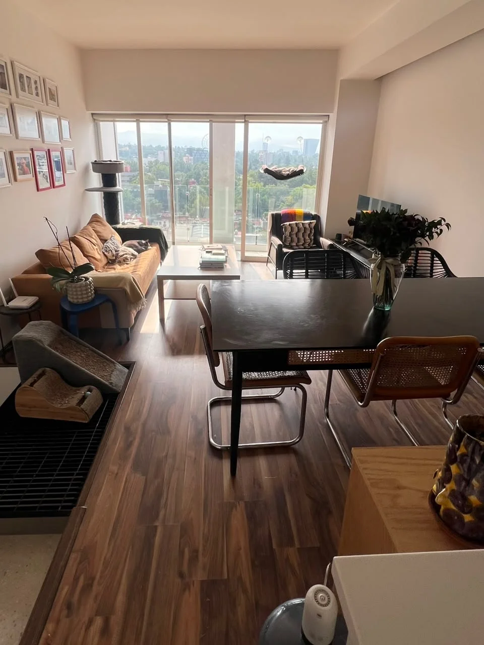 Private Room for Women in Condesa, Mexico City
