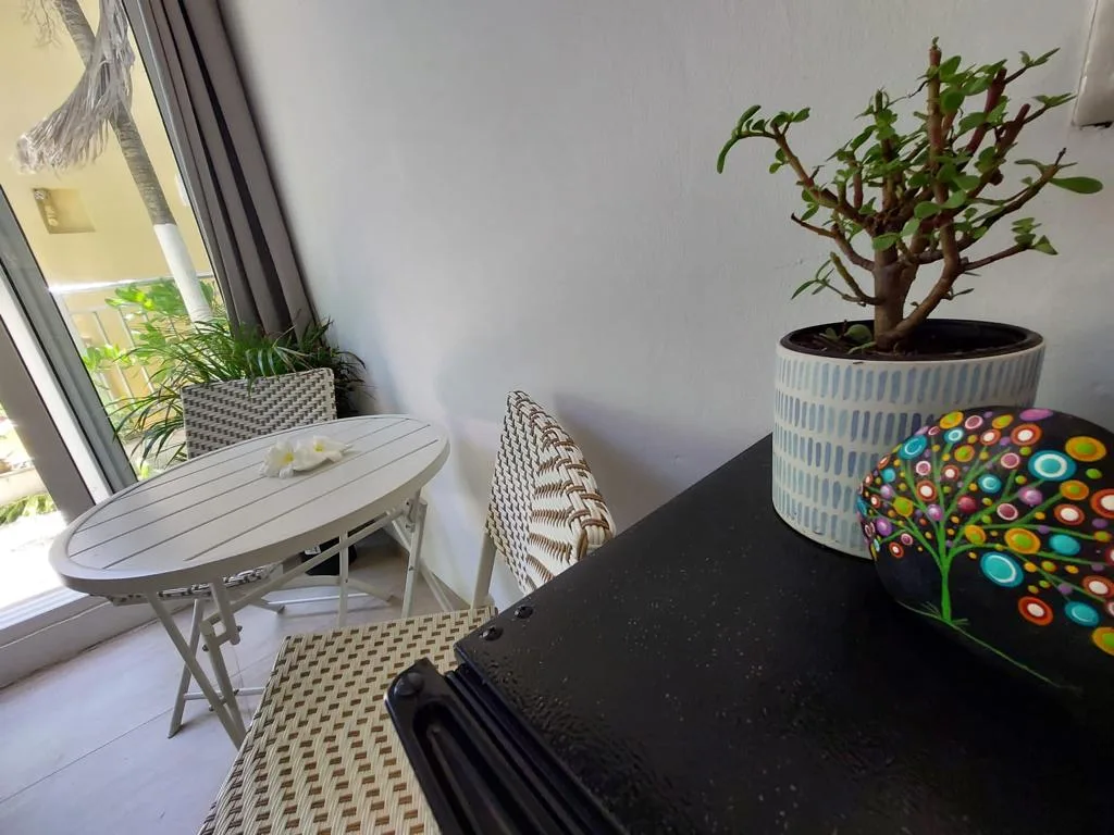 Studio Apartment in Playacar