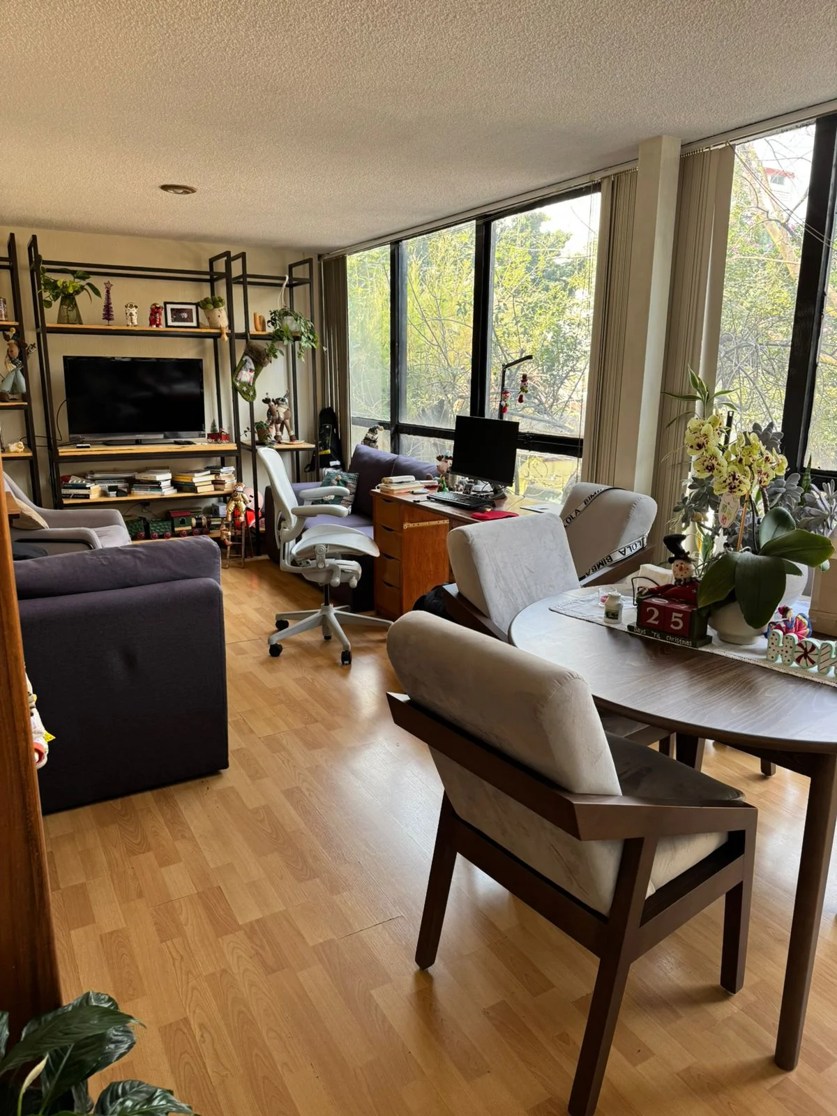 Apartment in San Miguel Chapultepec - $10,000 MXN/month