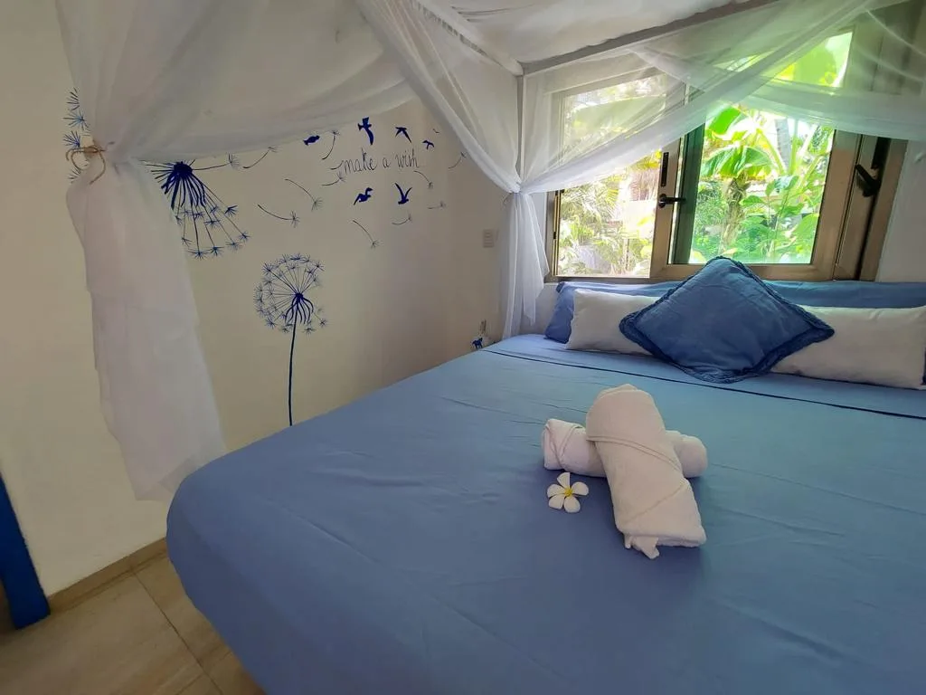 Studio Apartment in Playacar