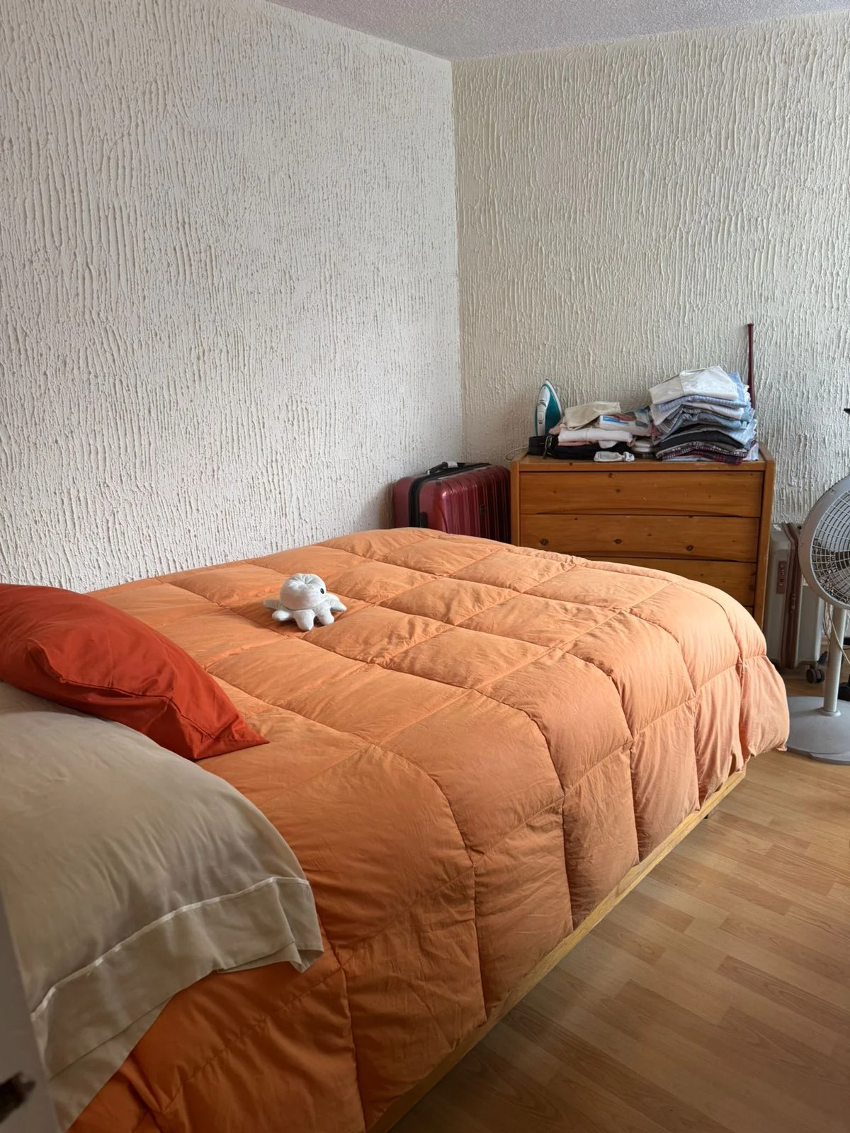 Apartment in San Miguel Chapultepec - $10,000 MXN/month