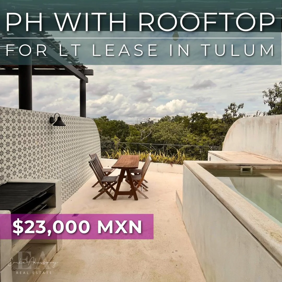 Penthouse for Rent in Aldea Zama with Jungle View