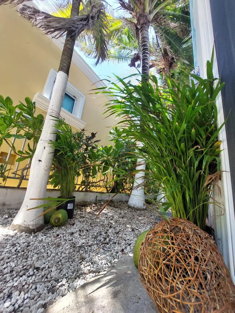 Studio Apartment in Playacar