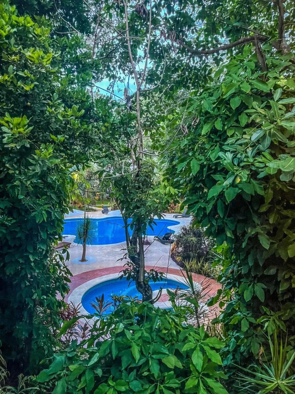 Furnished House for Rent in Residencial Selvamar
