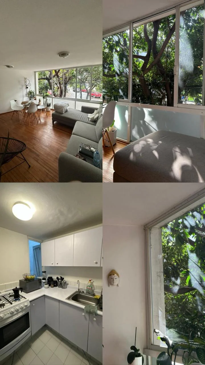 Apartment Rental in Napoles