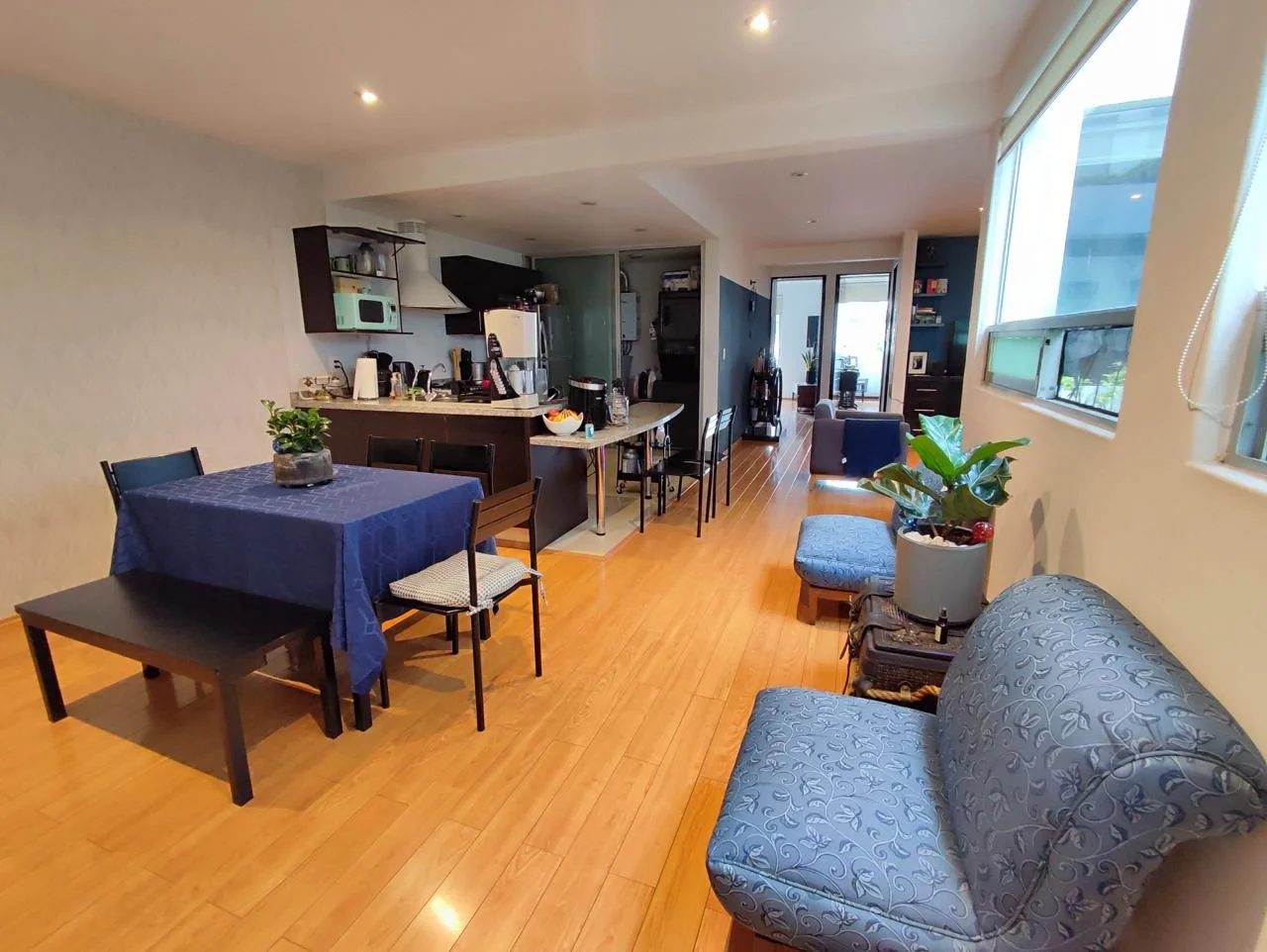 Furnished Apartment in Roma Sur