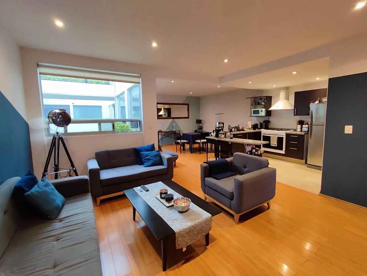 Furnished Apartment in Roma Sur