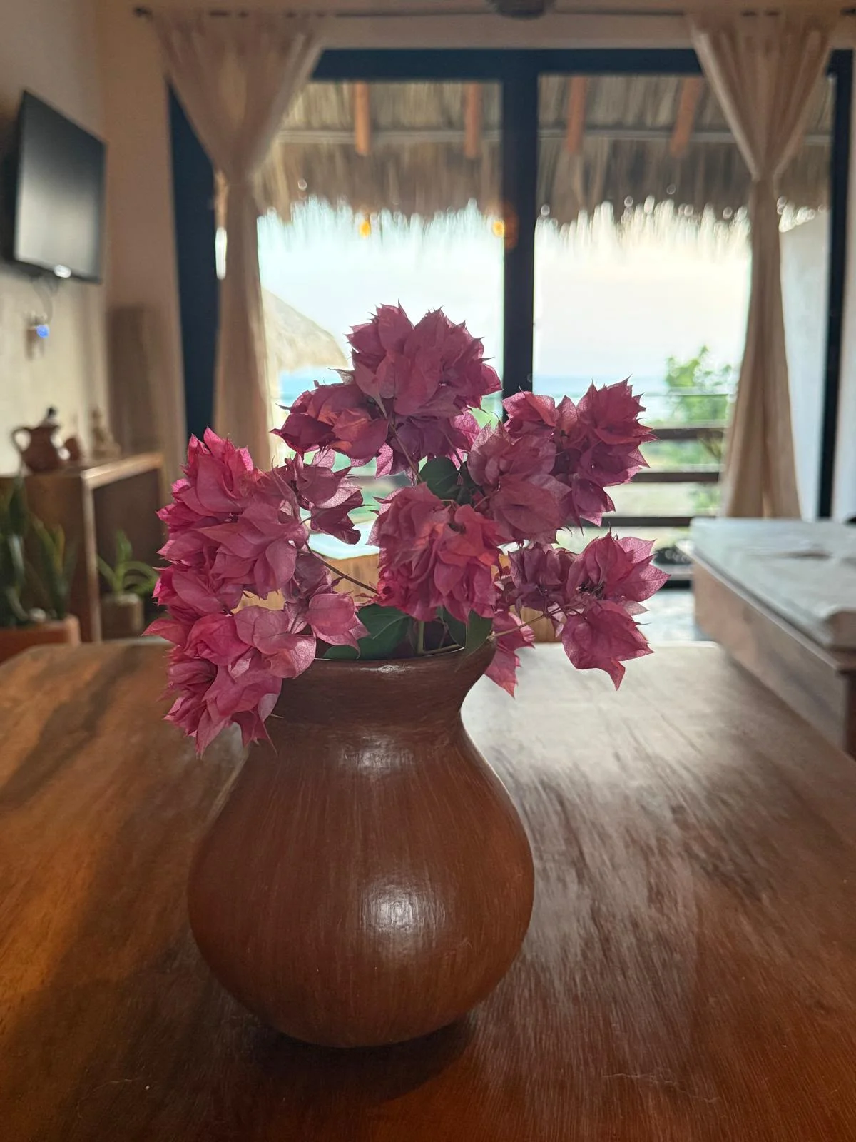 Furnished 2 Bedroom Apartment in Puerto Escondido