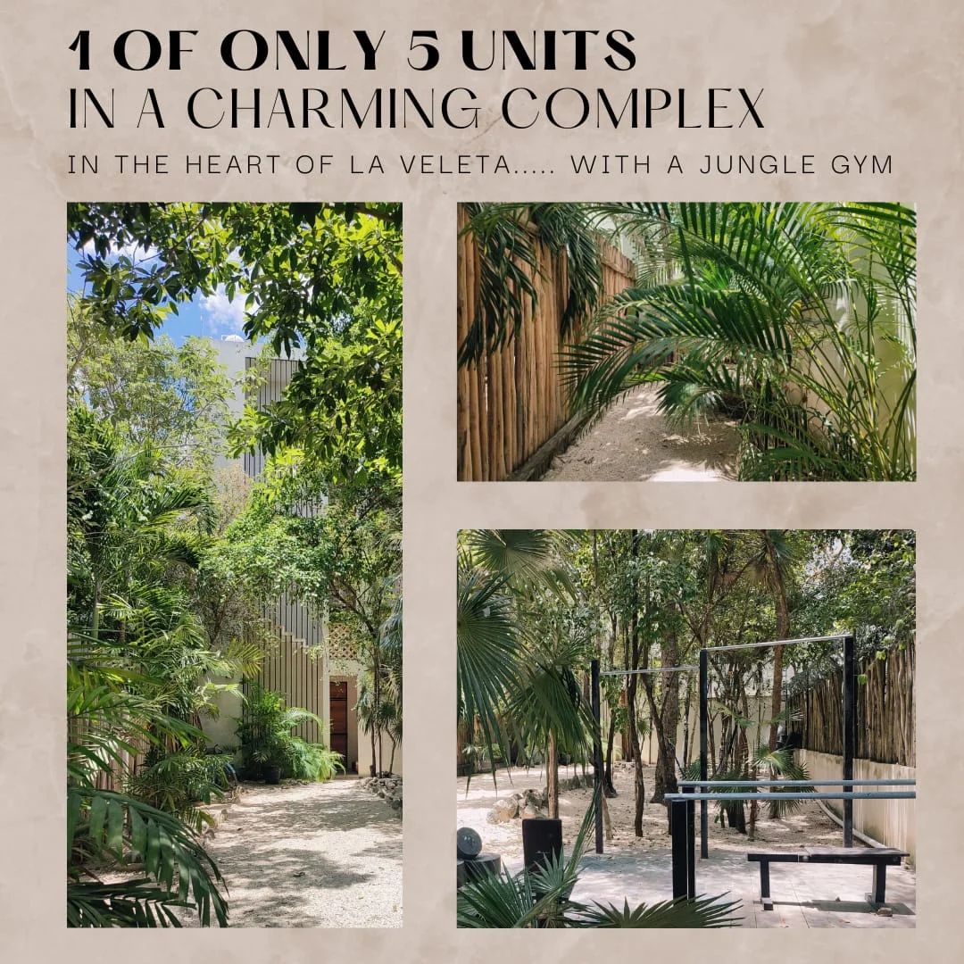 Studio Apartment in La Veleta with Jungle Views & Gym