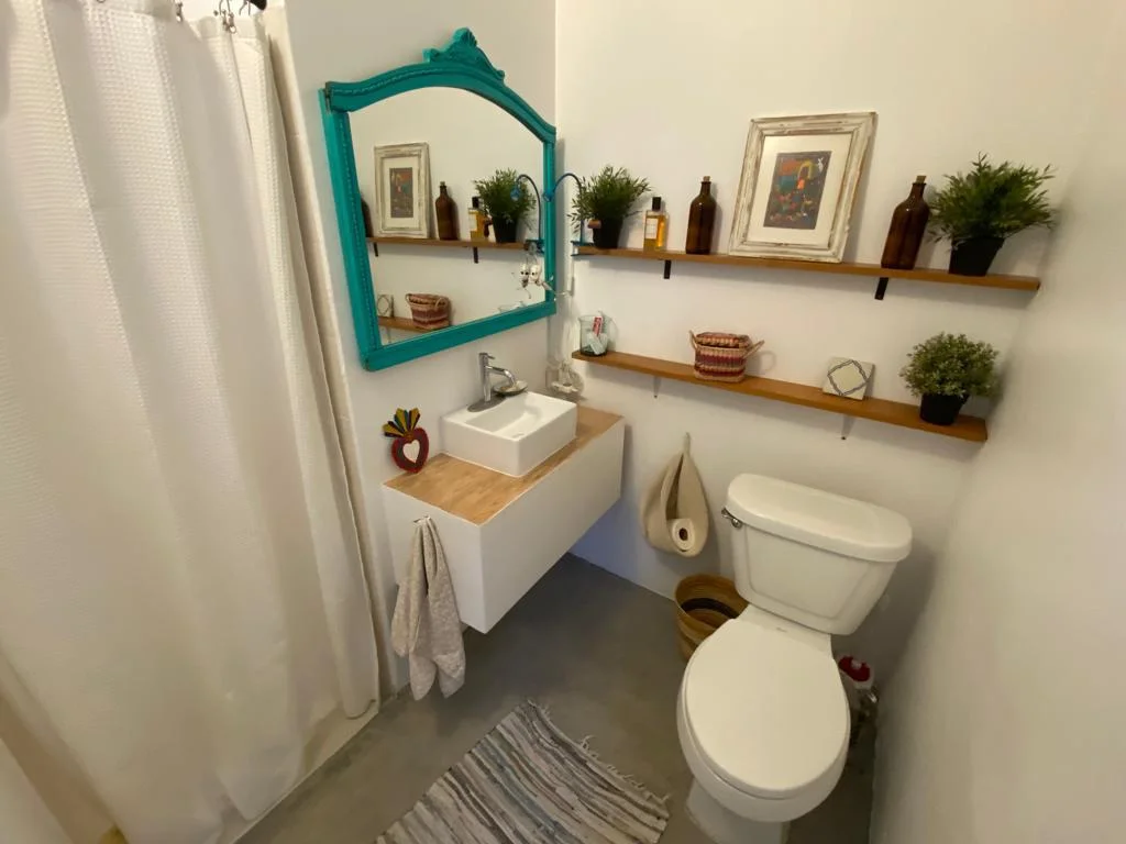 1BR + Studio Apartment for Rent in Colonia Cuauhtémoc