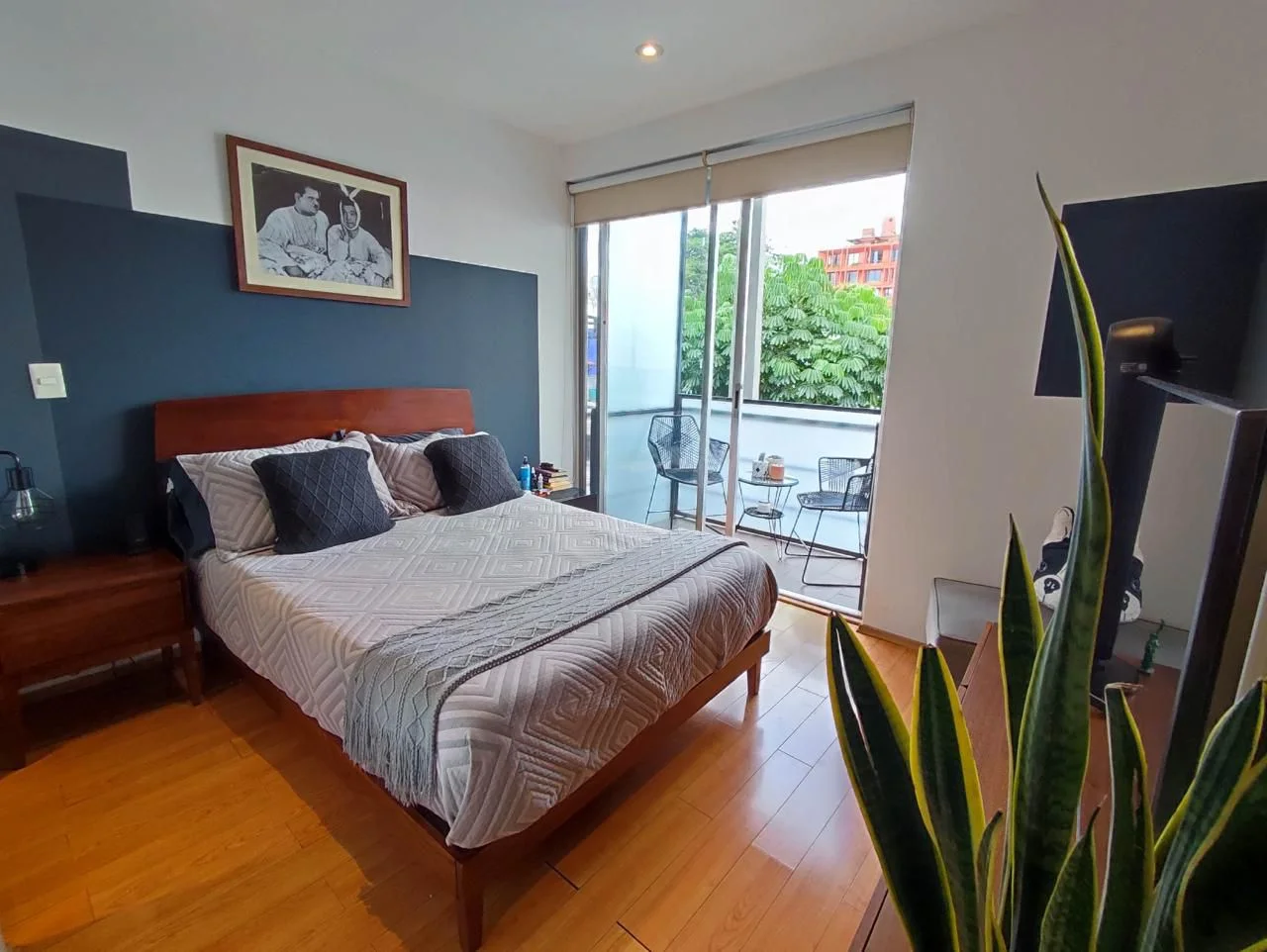 Furnished Apartment in Roma Sur