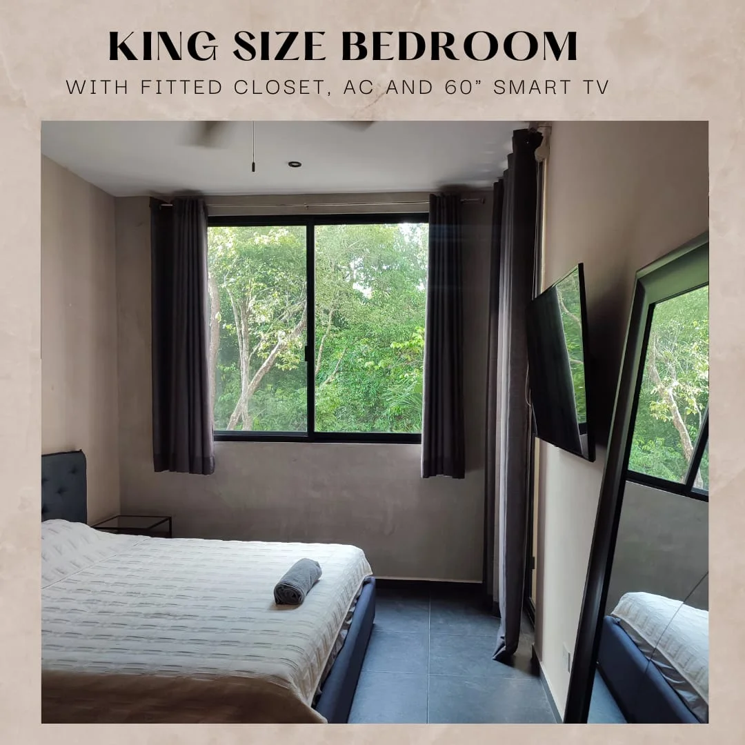 1 Bedroom Apartment in La Veleta