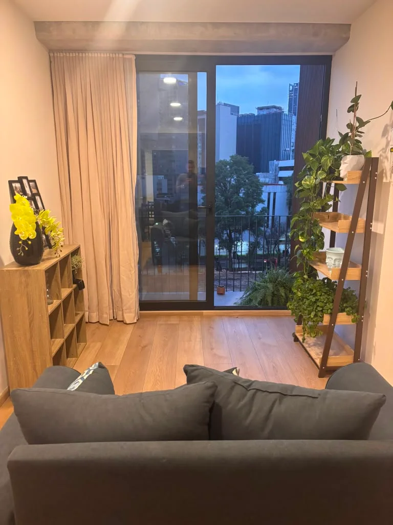 Furnished Apartment in San Rafael, Mexico City