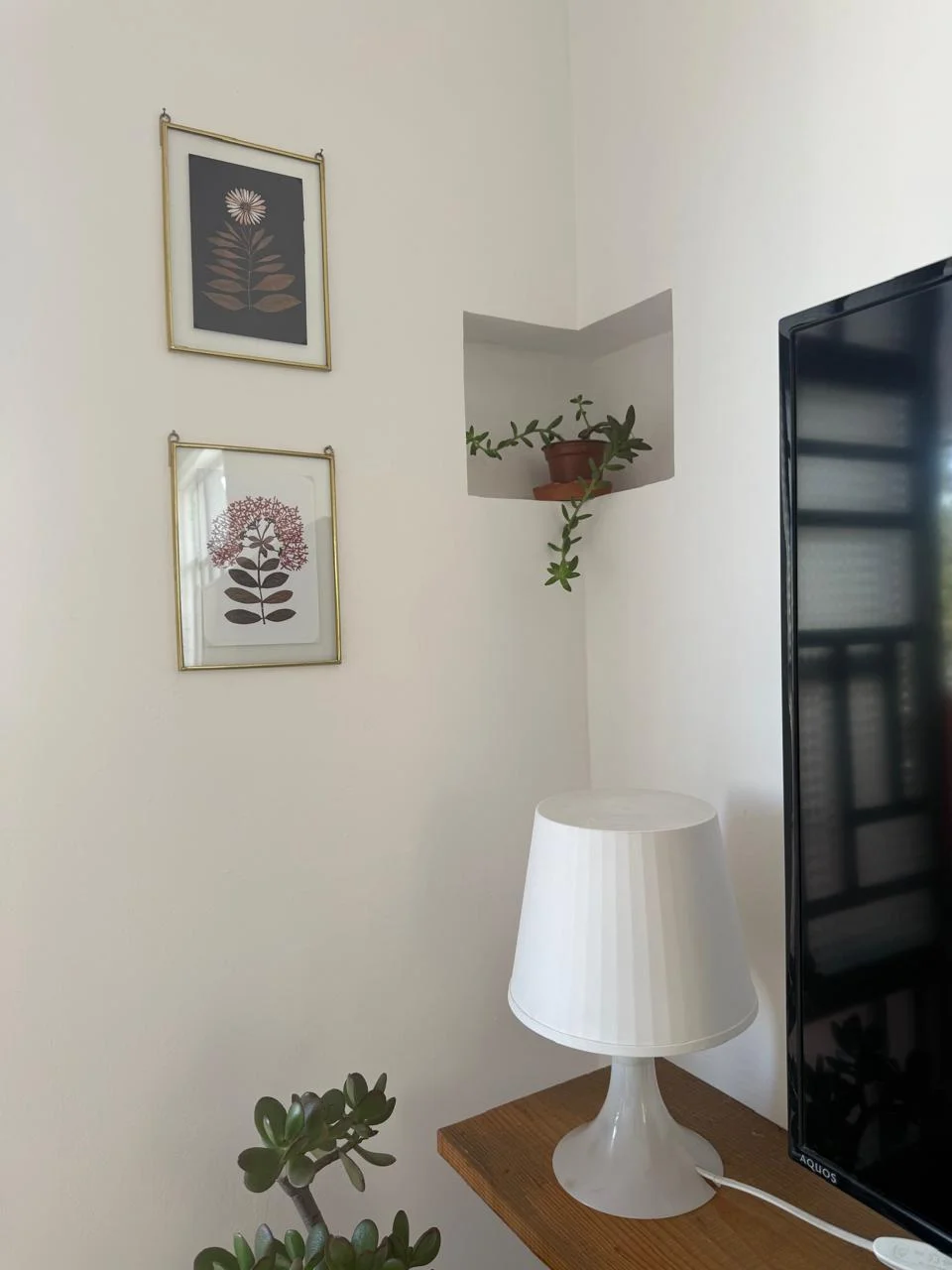 1BR + Studio Apartment for Rent in Colonia Cuauhtémoc